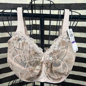 Wacoal Floral Lace Bra - Cream and Tan NWT US 38G